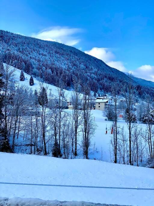 Charmant Appartement Au Pied Des Pistes De Лелекс Экстерьер фото